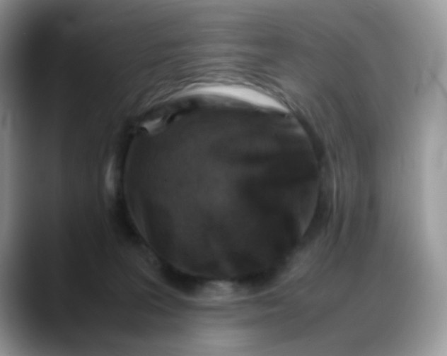 X0000088190227200705292018