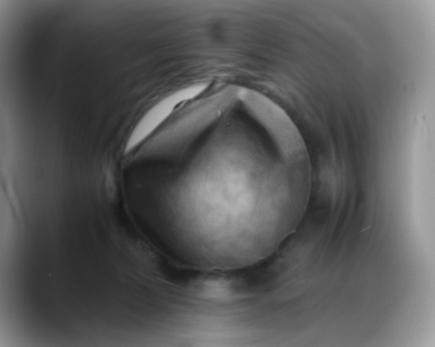 X0000088190228200705292018