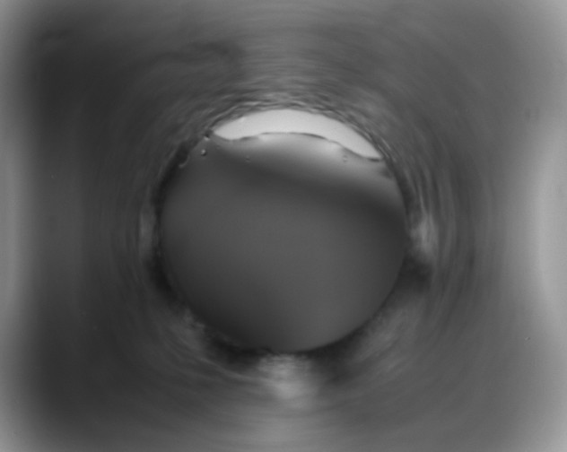 X0000088190231200705292018