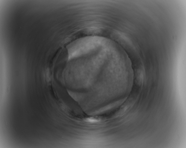 X0000088190232200705292018