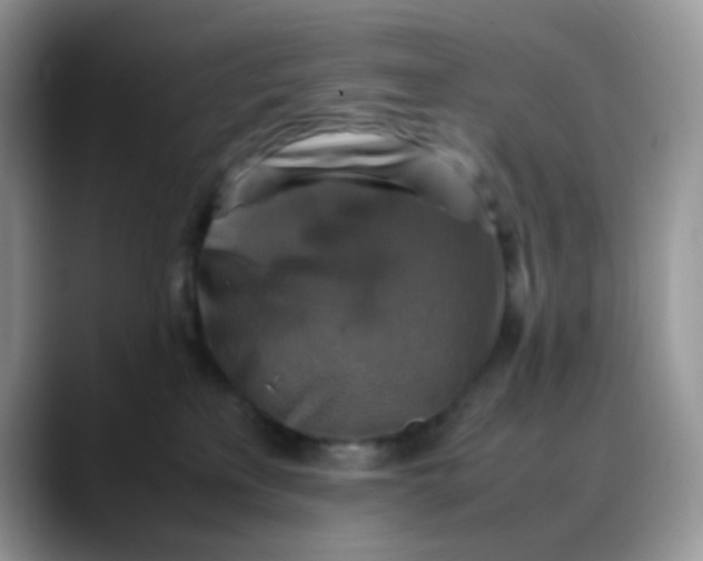 X0000088190233200705292018