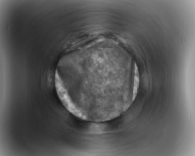 X0000088190234200705292018