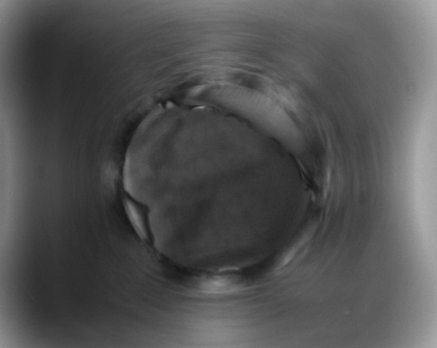 X0000088190235200705292018