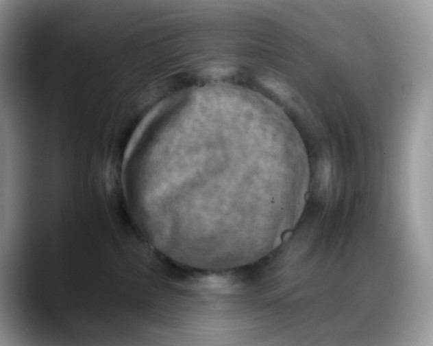 X0000088190236200705292018