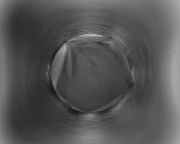 X0000088190237200705292018