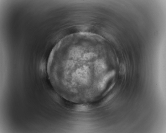 X0000088190238200705292018