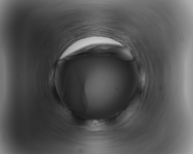 X0000088190239200705292018