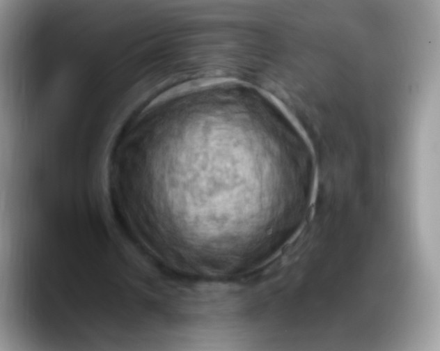X0000088190242200705292018