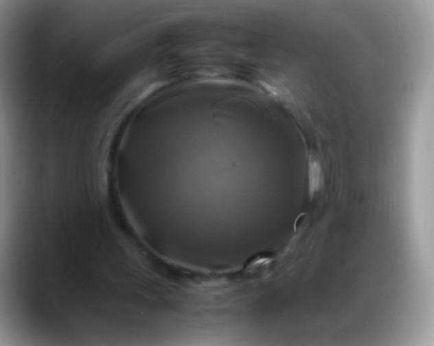 X0000088190243200705292018