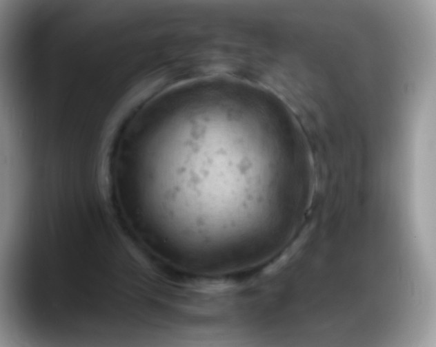 X0000088190245200705292018