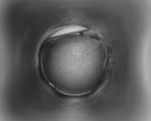 X0000088190246200705292018
