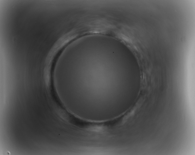 X0000088190247200705292018
