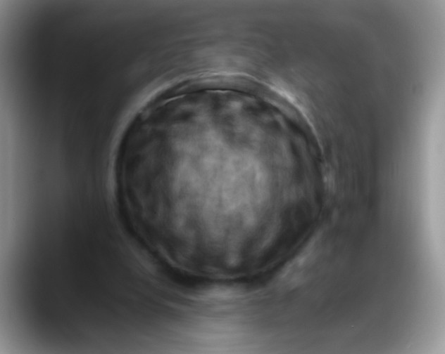 X0000088190248200705292018