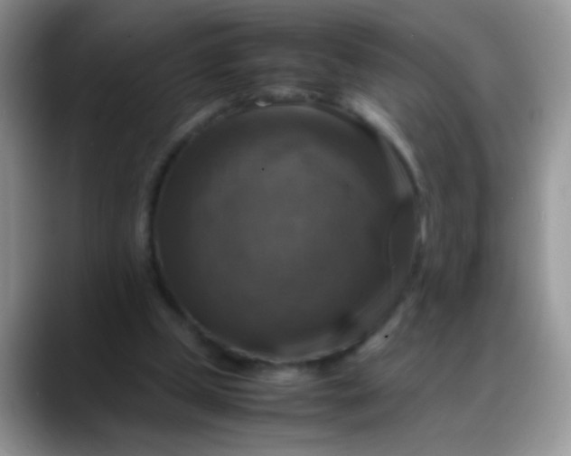 X0000088190249200705292018
