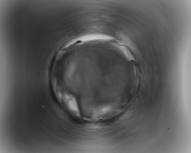 X0000088190250200705292018