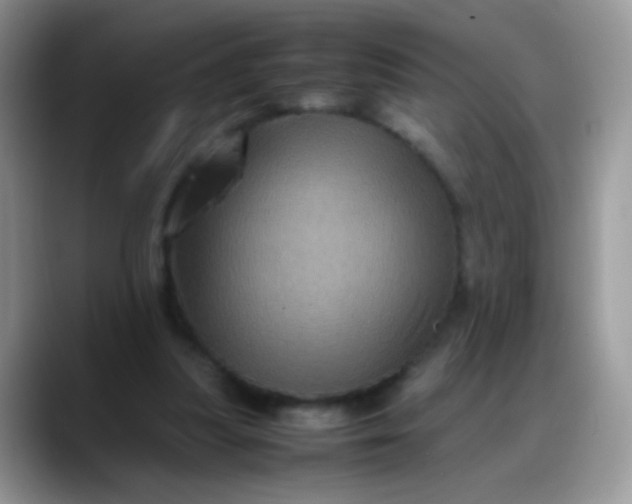 X0000088190251200705292018