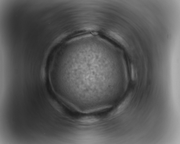 X0000088190252200705292018