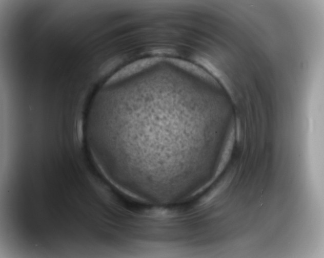 X0000088190253200705292018