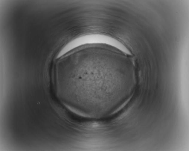 X0000088190254200705292018