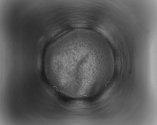 X0000088190255200705292018