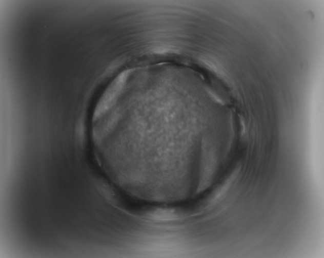 X0000088190256200705292018