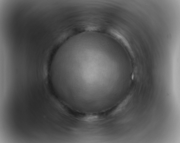 X0000088190257200705292018