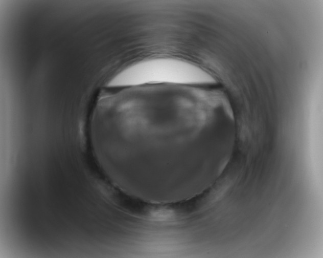 X0000088190258200705292018