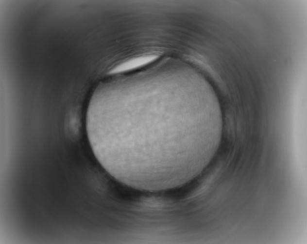 X0000088190259200705292018
