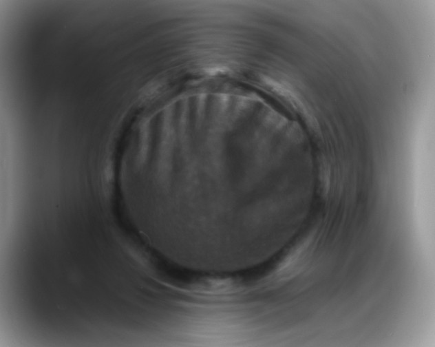 X0000088190260200705292018