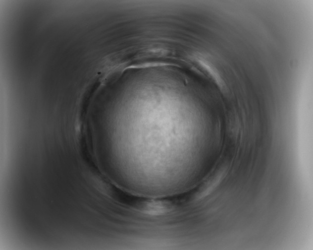 X0000088190261200705292018