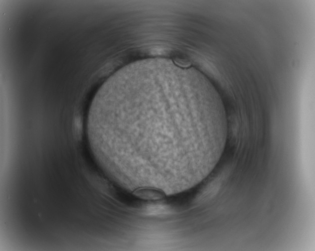 X0000088190262200705292018