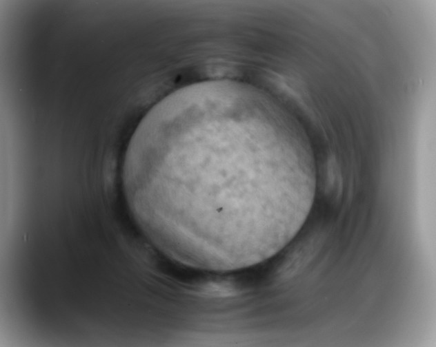 X0000088190263200705292018