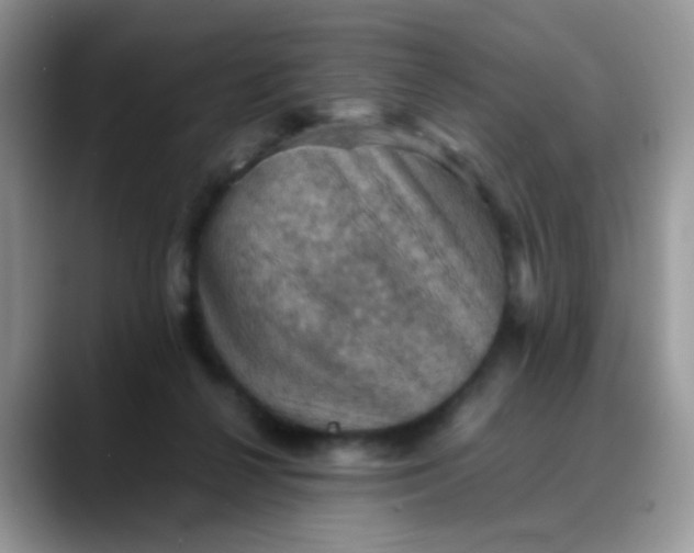X0000088190264200705292018