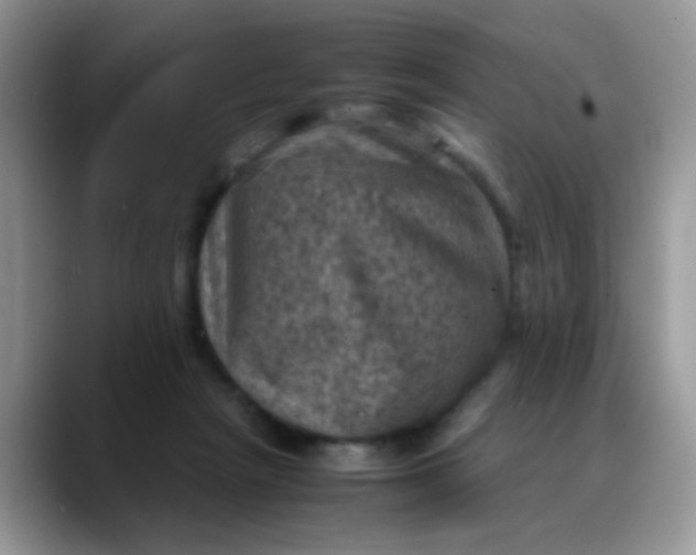 X0000088190265200705292018