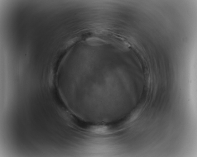 X0000088190266200705292018