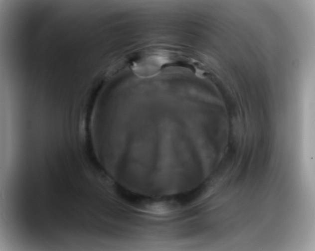 X0000088190267200705292018