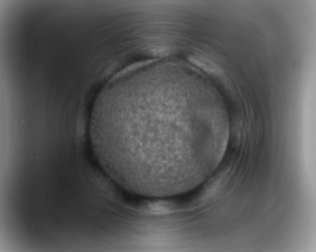 X0000088190268200705292018