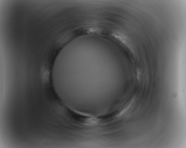X0000088190269200705292018