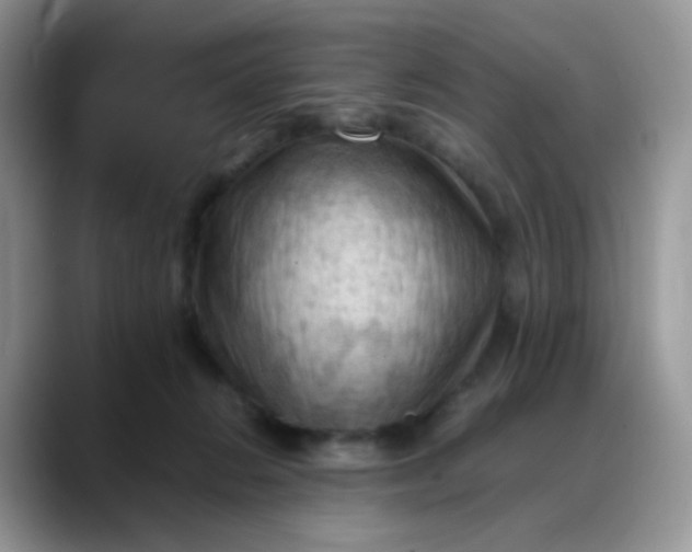 X0000088190270200705292018