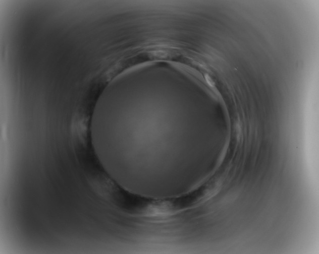 X0000088190271200705292018