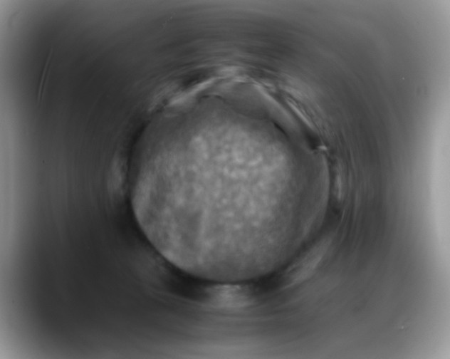 X0000088190273200705292018