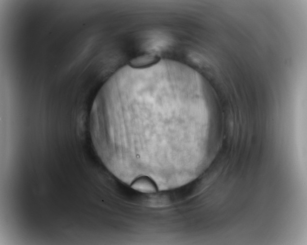 X0000088190275200705292018