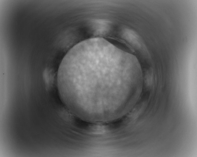 X0000088190276200705292018