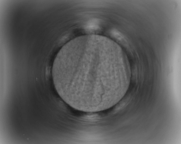 X0000088190278200705292018