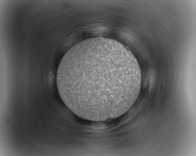 X0000088190279200705292018