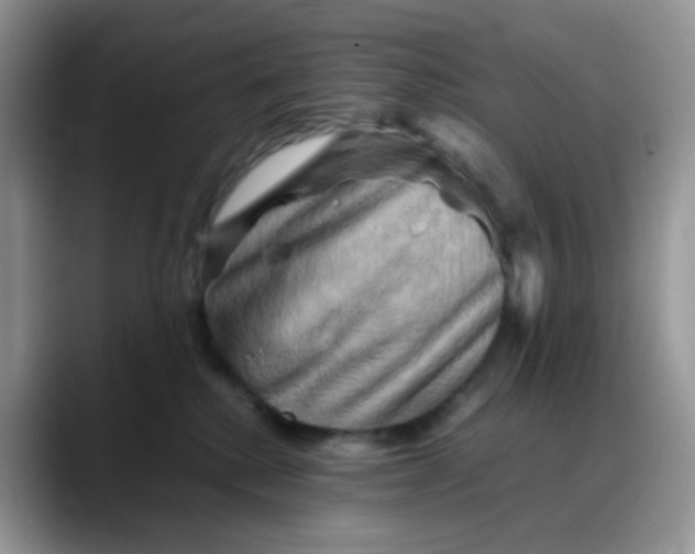 X0000088190280200705292018