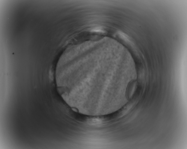 X0000088190282200705292018