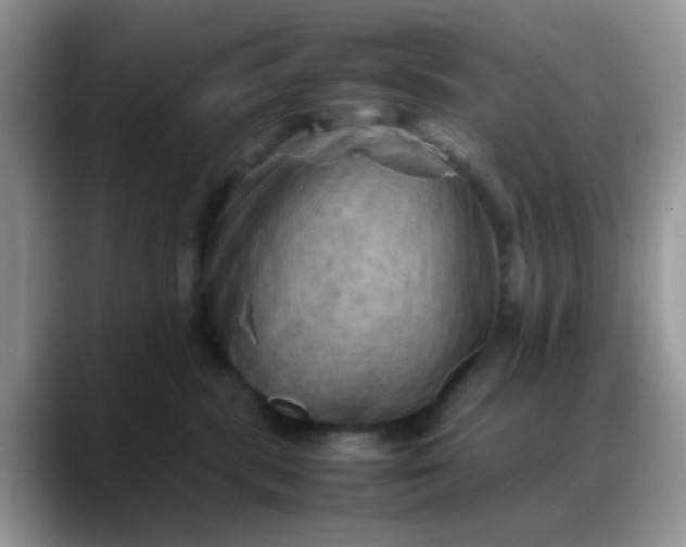 X0000088190283200705292018