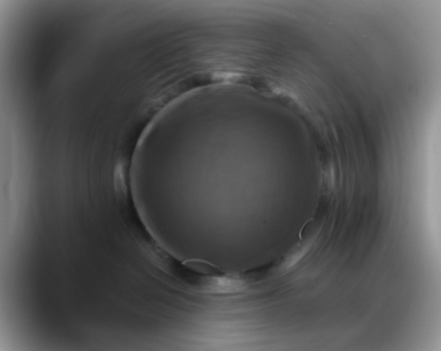 X0000088190286200705292018