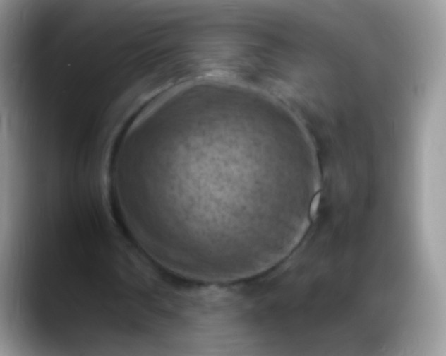 X0000088190290200705292018